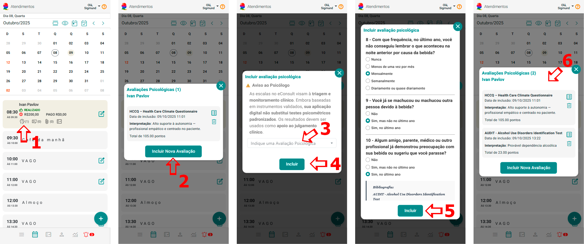 Fluxo de Trabalho Integrado